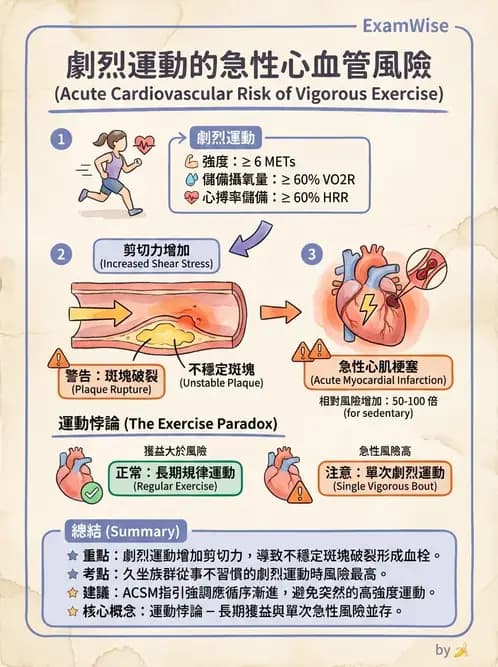 物治 - 運動篩檢與處方設計 - AI 圖文解析預覽