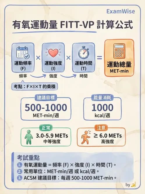 物治 - 運動篩檢與處方設計 - AI 圖文解析預覽