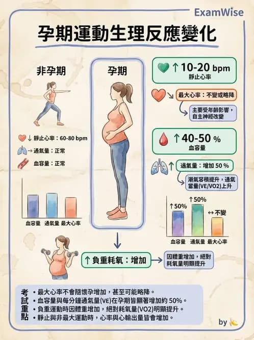 物治 - 特殊族群運動處方與健康促進 - AI 圖文解析預覽