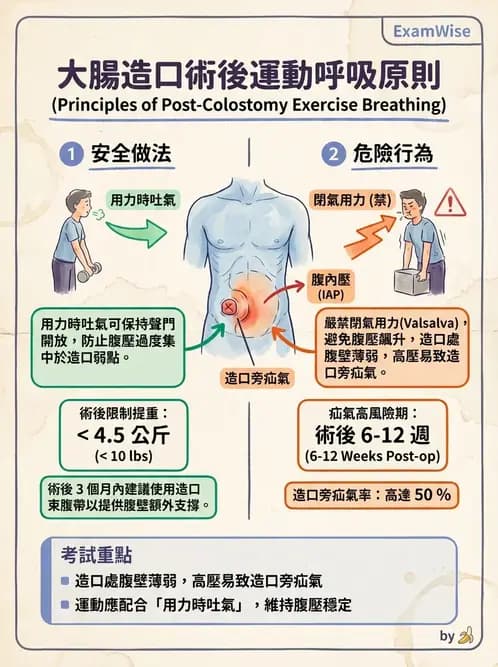 物治 - 癌症物理治療 - AI 圖文解析預覽