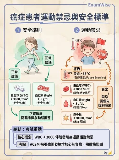 物治 - 癌症物理治療 - AI 圖文解析預覽