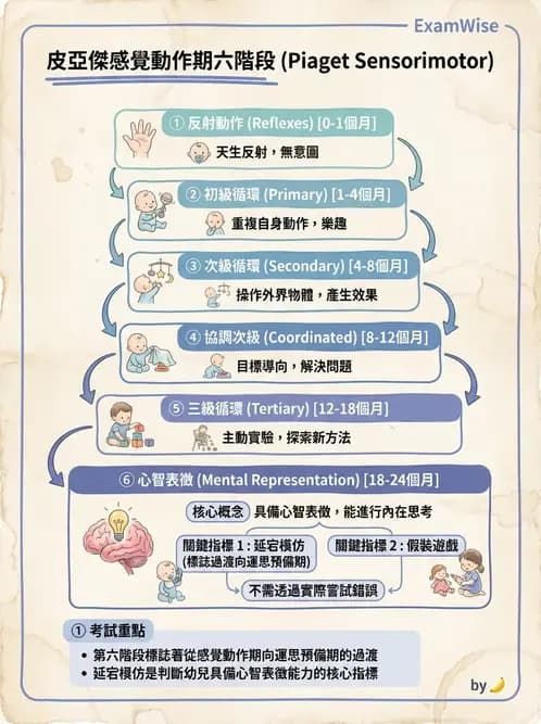 物治 - 兒童發展里程碑(動作與認知) - AI 圖文解析預覽
