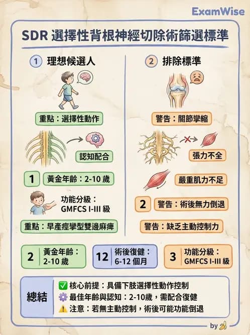 物治 - 腦性麻痺介入、手術與輔具 - AI 圖文解析預覽