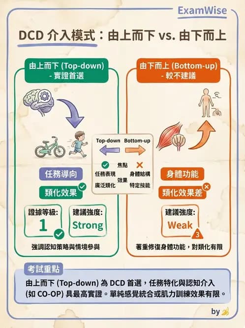 物治 - DCD、ADHD與行為介入 - AI 圖文解析預覽