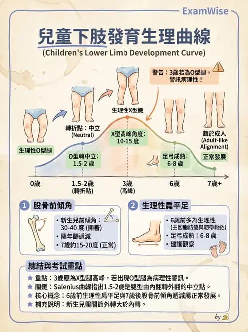物治 - 兒童發展里程碑(動作與認知) - AI 圖文解析預覽