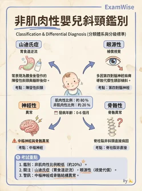 物治 - 小兒肌肉骨骼疾患物理治療 - AI 圖文解析預覽