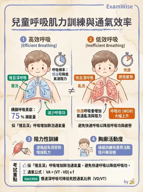 物治 - 小兒呼吸疾患與NICU物理治療 - AI 圖文解析預覽