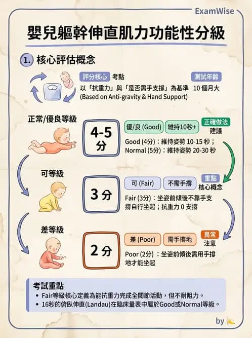 物治 - 新生兒與嬰兒發展評估 - AI 圖文解析預覽