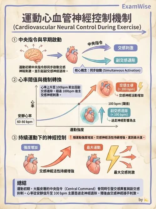 物治 - 運動與環境心肺生理 - AI 圖文解析預覽
