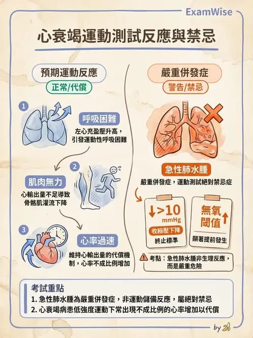 物治 - 運動與環境心肺生理 - AI 圖文解析預覽