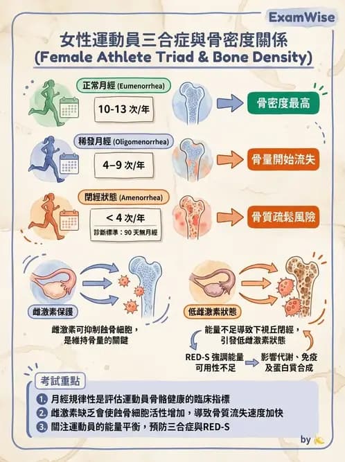 物治 - 免疫生殖與皮膚生理 - AI 圖文解析預覽