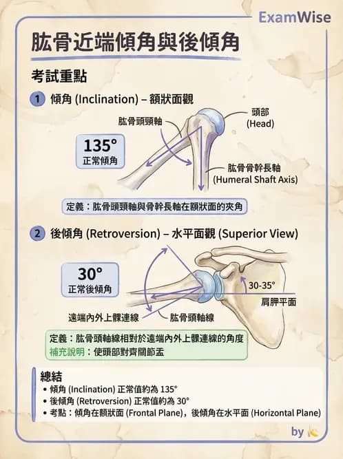 物治 - 肩關節複合體生物力學 - AI 圖文解析預覽