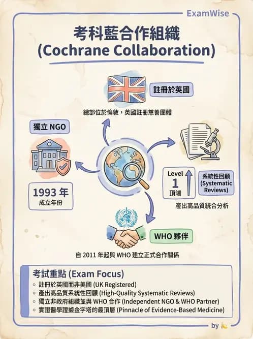 物治 - 實證概念與發展 - AI 圖文解析預覽