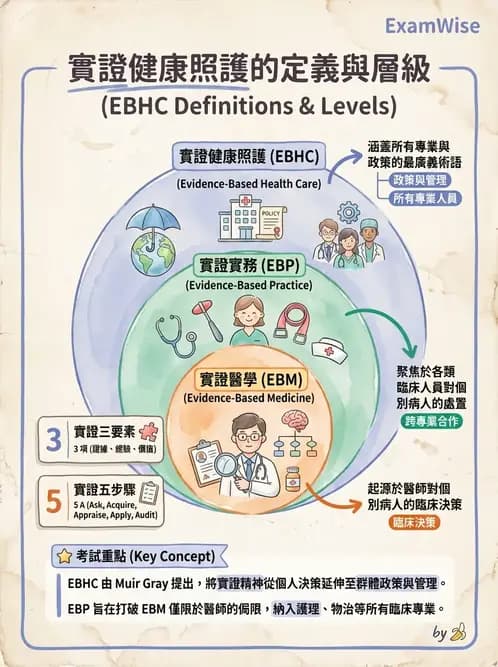 物治 - 實證概念與發展 - AI 圖文解析預覽