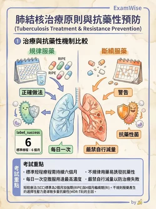物治 - 內科疾病概論 - AI 圖文解析預覽