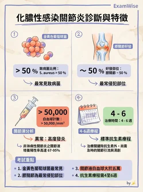 物治 - 內科疾病概論 - AI 圖文解析預覽