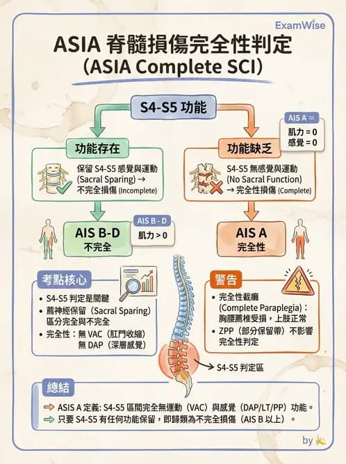 物治 - 脊髓與周邊神經疾病 - AI 圖文解析預覽