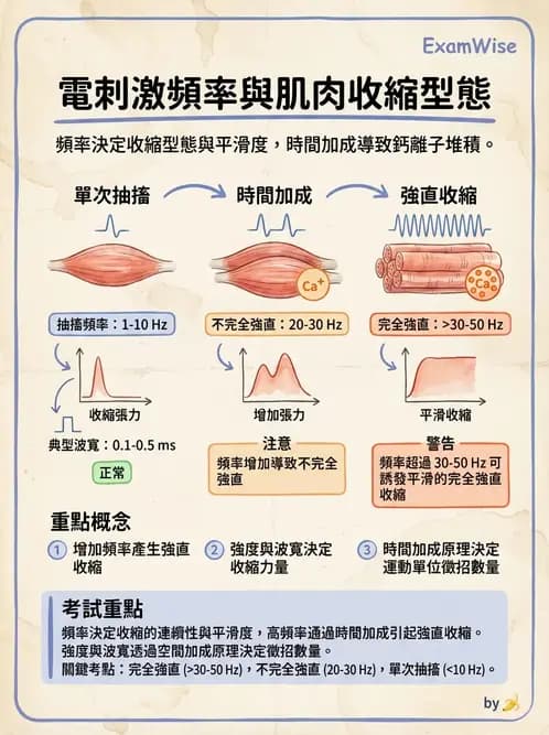 物治 - 經皮電刺激與電療基礎 - AI 圖文解析預覽