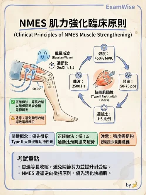 物治 - 神經肌肉電刺激 - AI 圖文解析預覽