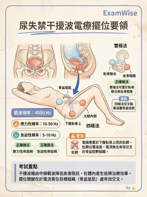 物治 - 中頻干擾波 - AI 圖文解析預覽