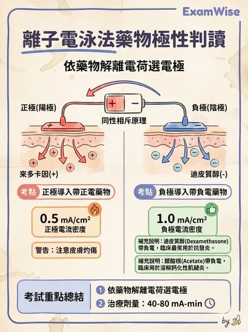 物治 - 離子導入法 - AI 圖文解析預覽