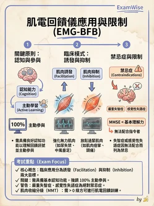 物治 - 肌電生物回饋 - AI 圖文解析預覽