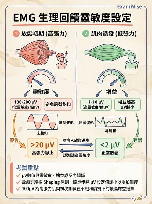 物治 - 肌電生物回饋 - AI 圖文解析預覽