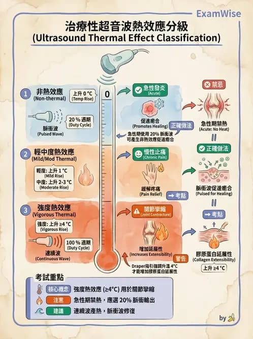 物治 - 超音波 - AI 圖文解析預覽