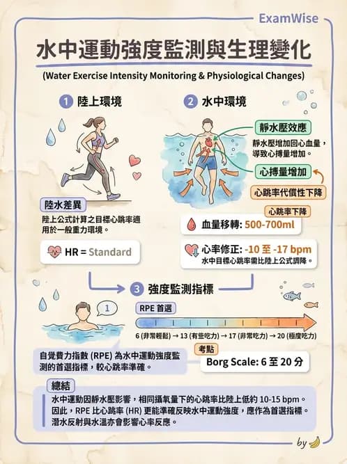 物治 - 水療 - AI 圖文解析預覽