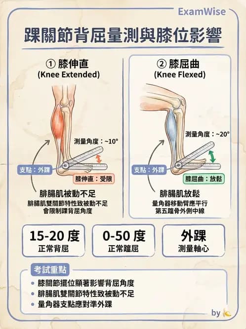 物治 - 下肢與脊椎關節活動度 - AI 圖文解析預覽