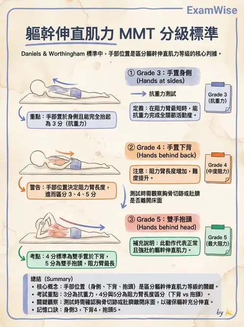 物治 - MMT通則、頭頸與軀幹 - AI 圖文解析預覽