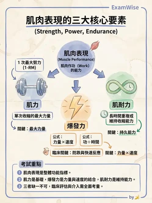 物治 - 漸進式阻力訓練 - AI 圖文解析預覽