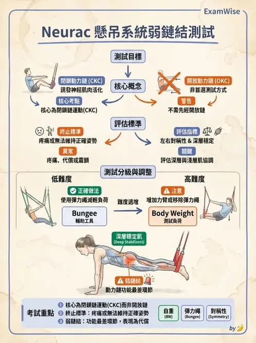 物治 - 懸吊系統與放鬆 - AI 圖文解析預覽