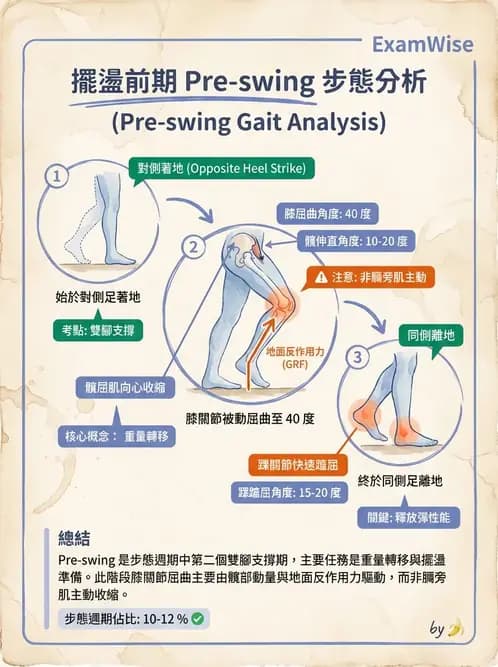 物治 - 行走評估與訓練 - AI 圖文解析預覽