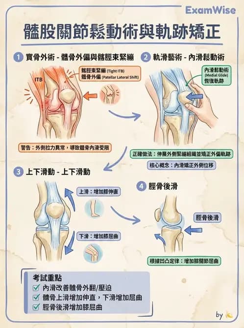 物治 - 鬆動術臨床應用 - AI 圖文解析預覽