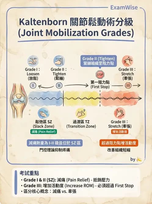 物治 - 鬆動術分級理論 - AI 圖文解析預覽
