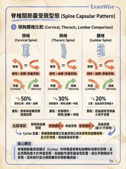 物治 - 鬆動術基礎概念與原則 - AI 圖文解析預覽