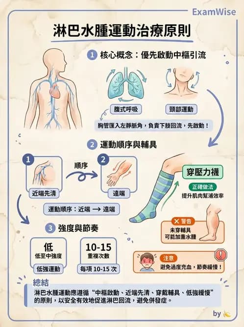 物治 - 淋巴水腫與徒手淋巴引流 - AI 圖文解析預覽