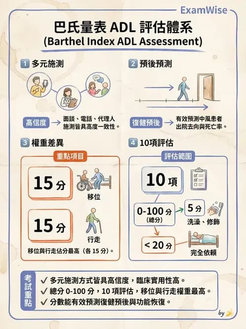 物治 - 功能評估與再教育 - AI 圖文解析預覽