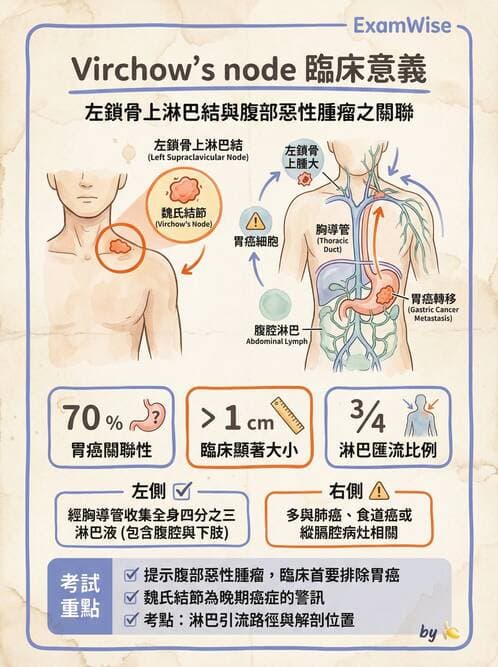 專師 - 腫瘤診斷與分期 - AI 圖文解析預覽