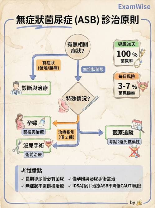 專師 - 泌尿道感染 - AI 圖文解析預覽