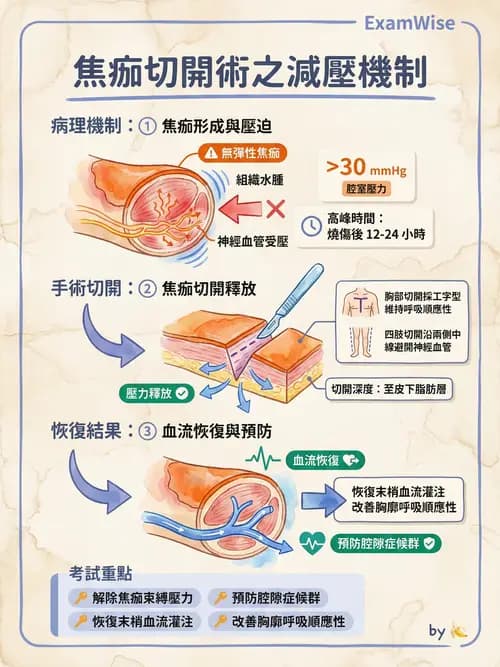 專師 - 燒傷 - AI 圖文解析預覽