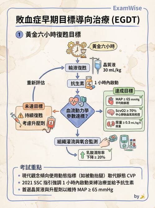 專師 - 敗血症治療與復甦指引 - AI 圖文解析預覽