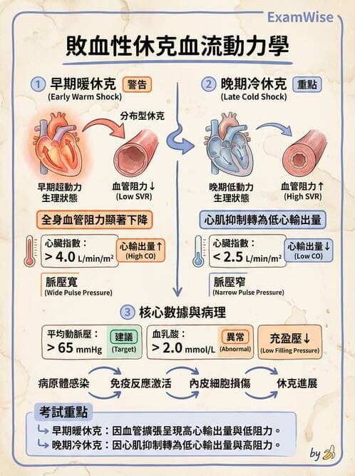專師 - 敗血症診斷與評估工具 - AI 圖文解析預覽