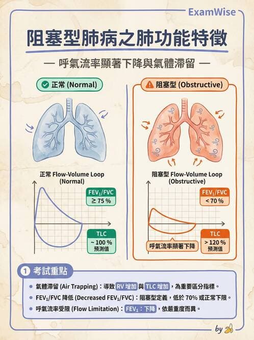 專師 - 阻塞性肺病 - AI 圖文解析預覽