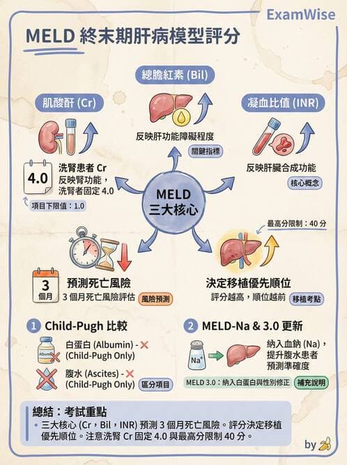 專師 - 肝腫瘤與肝臟手術 - AI 圖文解析預覽