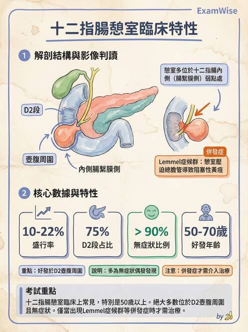 專師 - 上消化道 - AI 圖文解析預覽