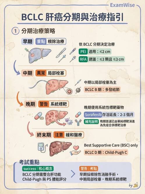 專師 - 肝腫瘤與肝臟手術 - AI 圖文解析預覽