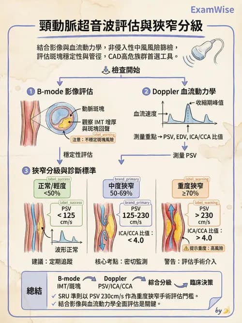 專師 - 心臟外科與介入 - AI 圖文解析預覽