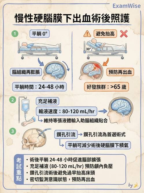 專師 - 頭部外傷與顱內壓 - AI 圖文解析預覽